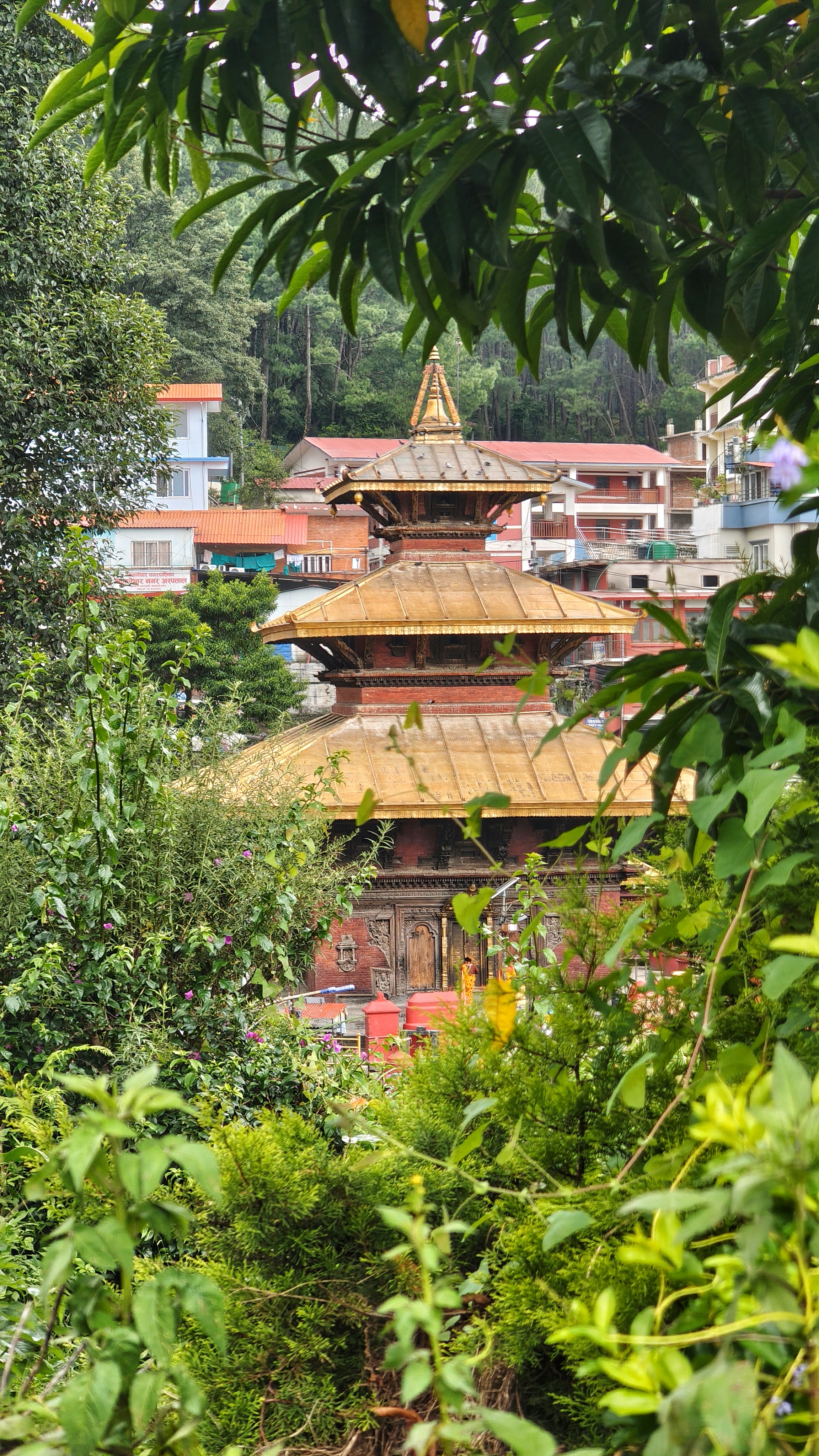 Temple